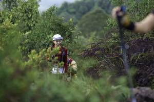 BIB: 
                            <button type="button" onclick="openModal(24761316)" class="btn btn-primary btn-sm float-right btn-popup" data-toggle="modal" data-target=".modal-high-quality">
                        <i class="fas fa-shopping-cart"></i> Add to Cart
                    </button>
                                            <button type="button" onclick="isThisMe(24761316, true)" class="btn btn-success btn-sm float-right btn-popup btn-isme hidden" data-toggle="tooltip" data-placement="bottom" title="นี่คือรูปของคุณใช่ไหม คลิกที่นี่เพื่อเอาเข้าอัลบั้ม">
                        <i class="fas fa-plus"></i> Add to album
                    </button>
                    <button type="button" onclick="isThisMe(24761316, false)" class="btn btn-warning btn-sm float-right btn-popup btn-isnotme hidden">
                        <i class="fas fa-ban"></i> Remove from album
                    </button>